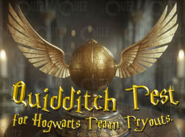 quidditch