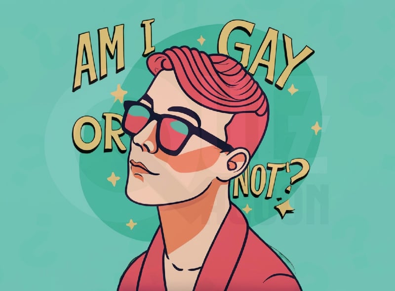 Am I Gay or Not Quiz?